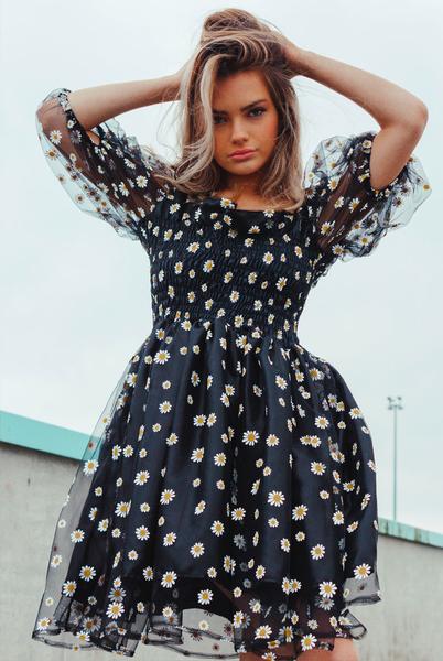 Blitz Daisy Daphne Puff Sleeve Dress